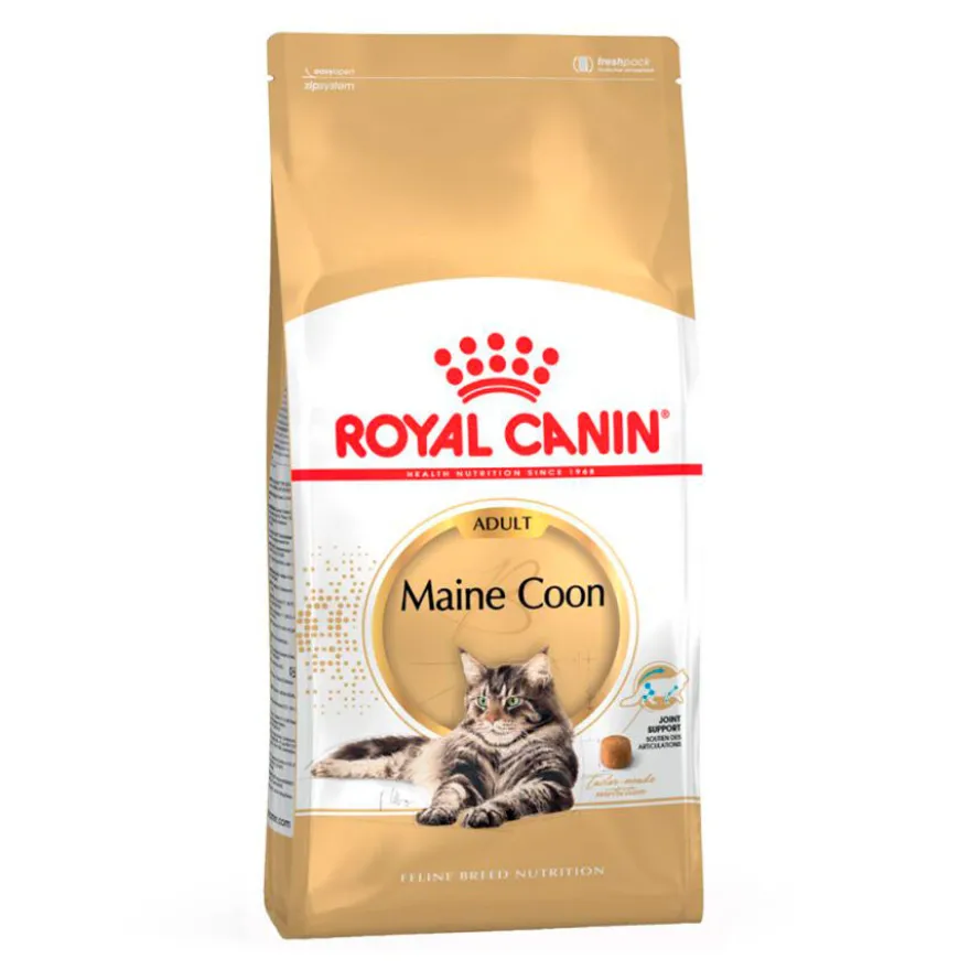 Royal Canin Adult Maine Coon ração para gatos