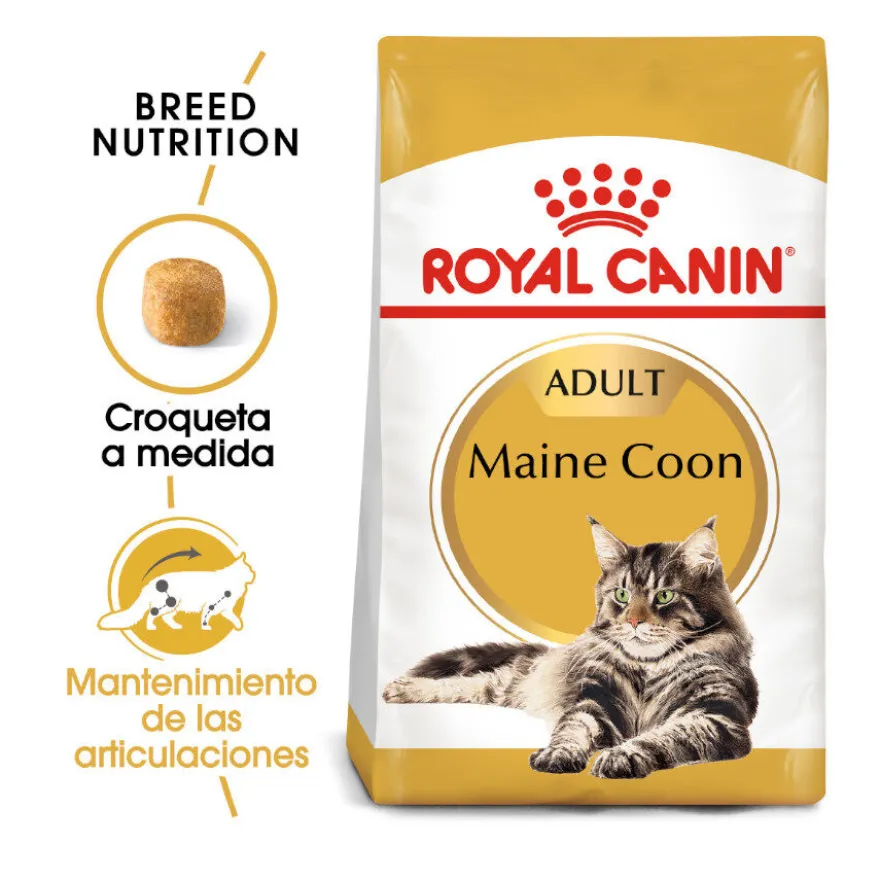 Royal Canin Adult Maine Coon ração para gatos