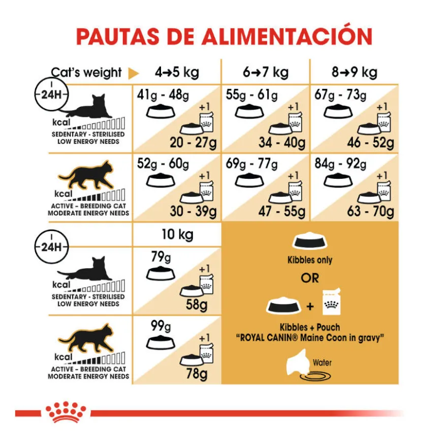 Royal Canin Adult Maine Coon ração para gatos