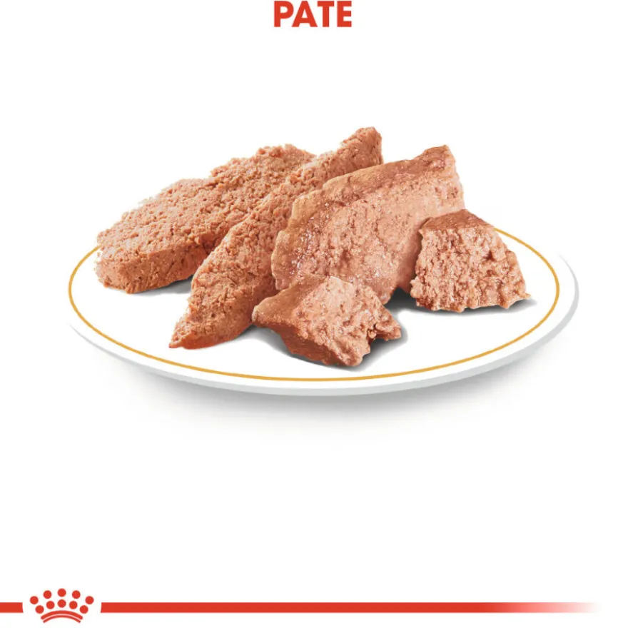 Royal Canin Adult Poodle Patê saqueta para cães