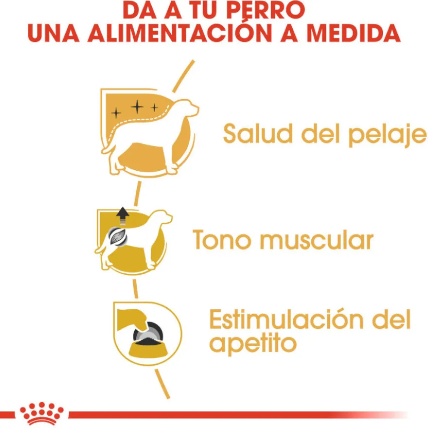 Royal Canin Adult Poodle Patê saqueta para cães