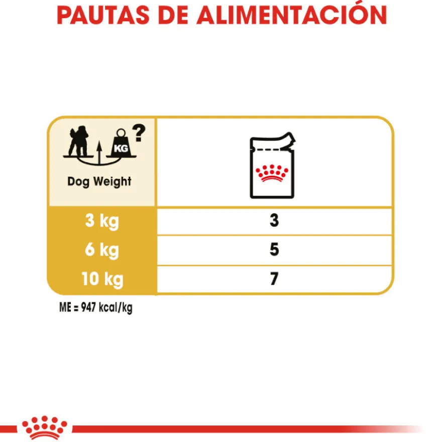 Royal Canin Adult Poodle Patê saqueta para cães