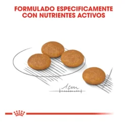 Royal Canin Dermacomfort Mini ração para cães