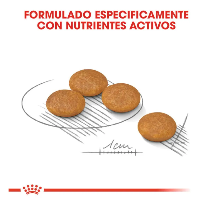 Royal Canin Dermacomfort Mini ração para cães
