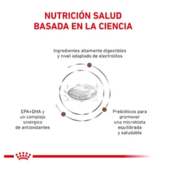 Royal Canin Gastrointestinal Hairball ração para gatos