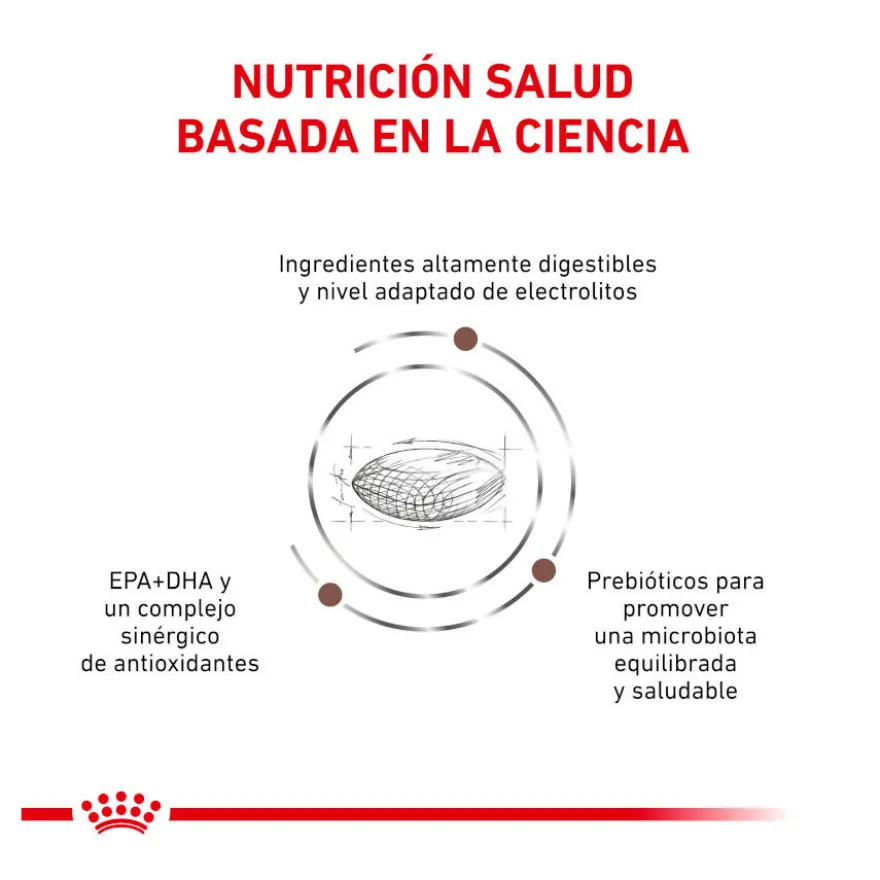 Royal Canin Gastrointestinal Hairball ração para gatos