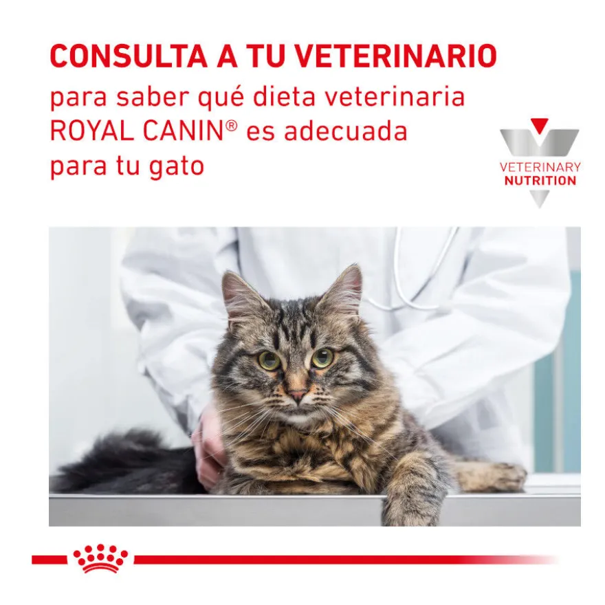 Royal Canin Gastrointestinal Hairball ração para gatos