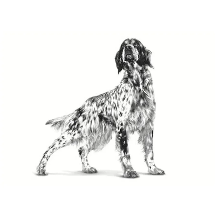 Royal Canin Gastrointestinal Low Fat lata para cães