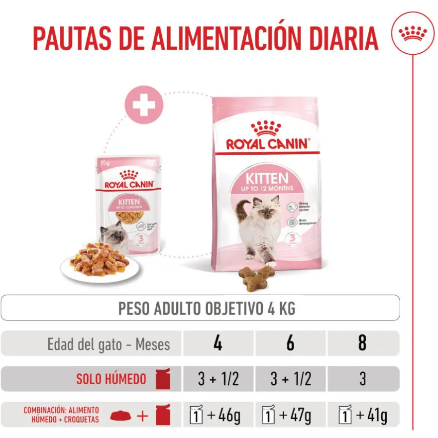 Royal Canin Kitten alimento húmido em gelatina saquetas para gatos