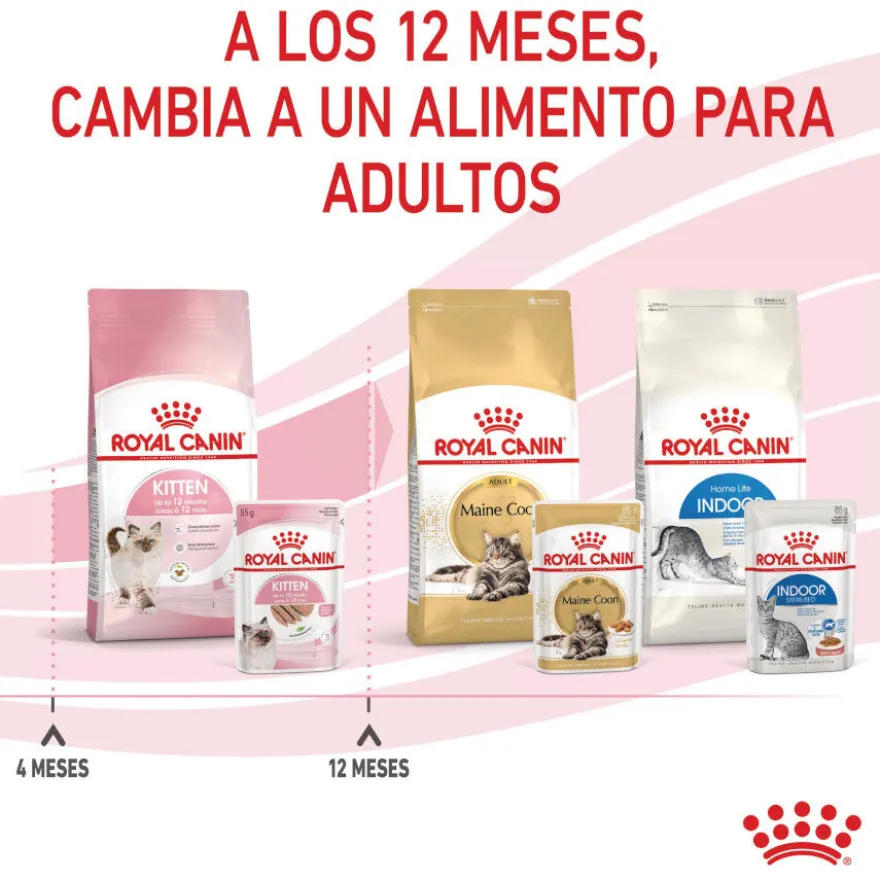 Royal Canin Kitten patê em saquetas para gatos