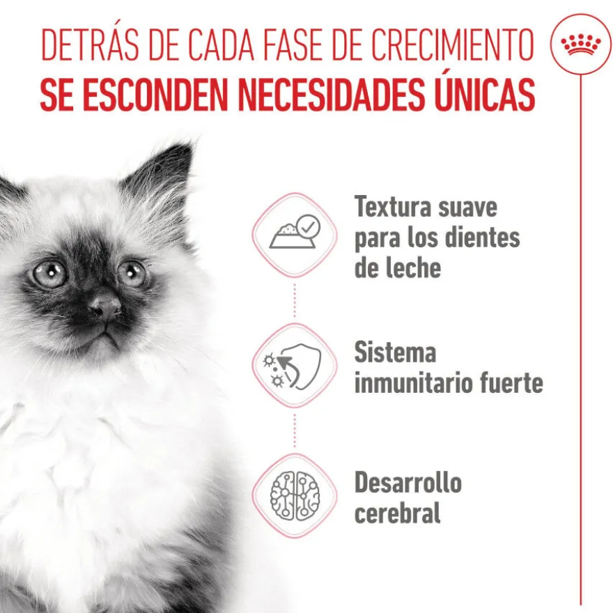 Royal Canin Kitten patê em saquetas para gatos