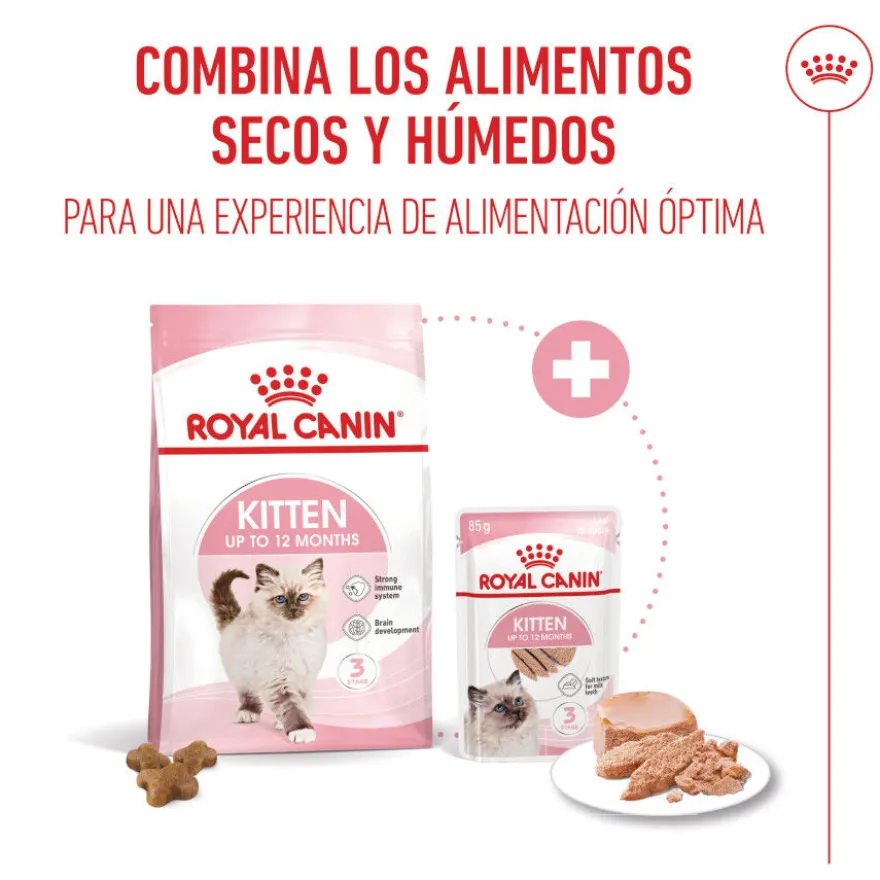 Royal Canin Kitten patê em saquetas para gatos