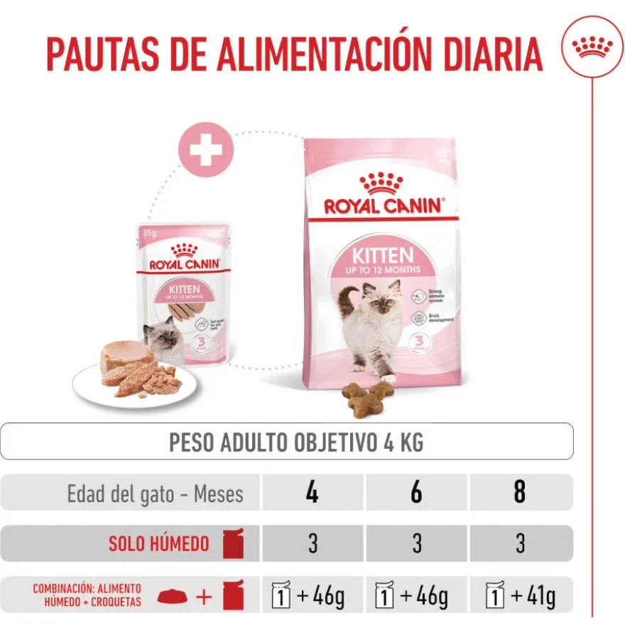 Royal Canin Kitten patê em saquetas para gatos