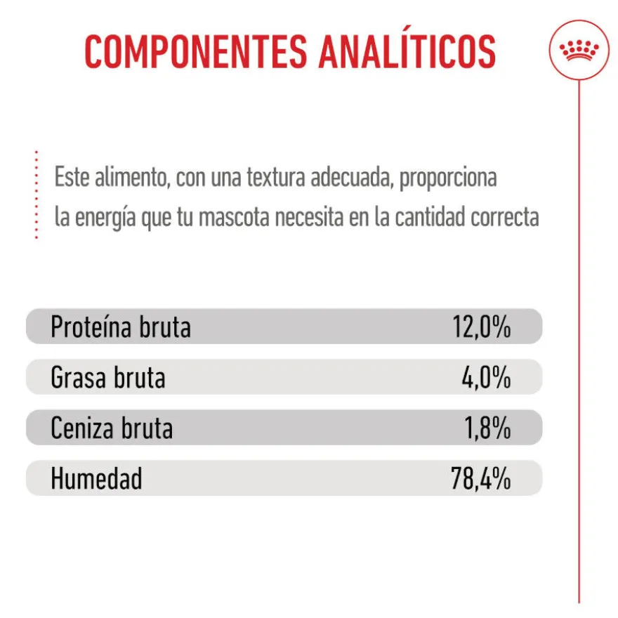 Royal Canin Kitten patê em saquetas para gatos