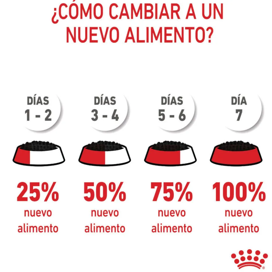 Royal Canin Kitten patê em saquetas para gatos