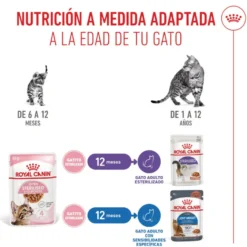 Royal Canin Kitten Sterilised alimento húmido em molho saquetas para gatos