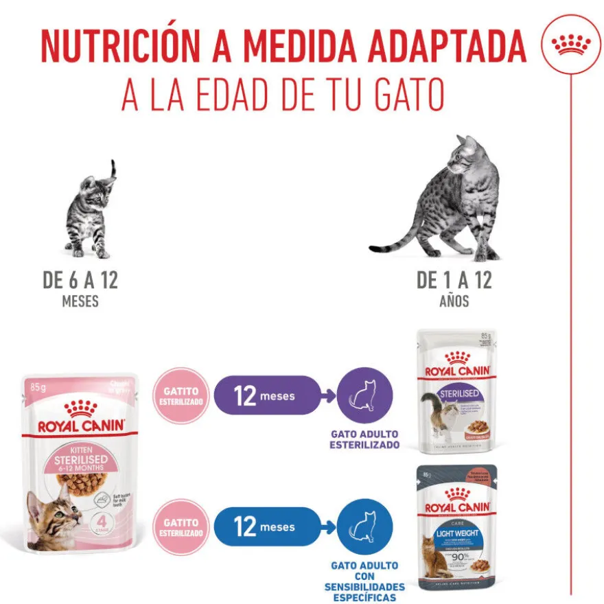 Royal Canin Kitten Sterilised alimento húmido em molho saquetas para gatos
