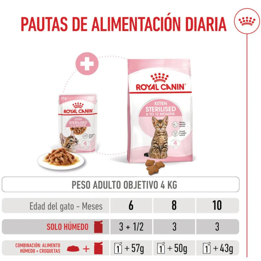 Royal Canin Kitten Sterilised alimento húmido em molho saquetas para gatos