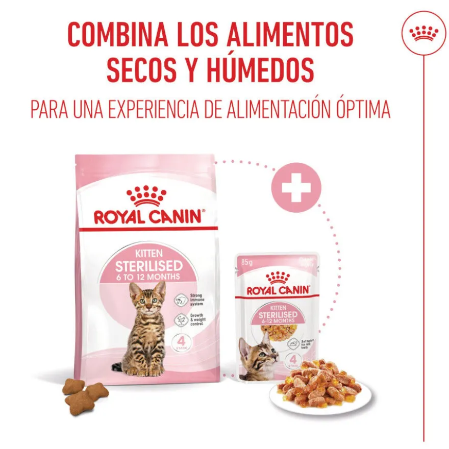 Royal Canin Kitten Sterilised Saquetas de Gelatina para gatinhos