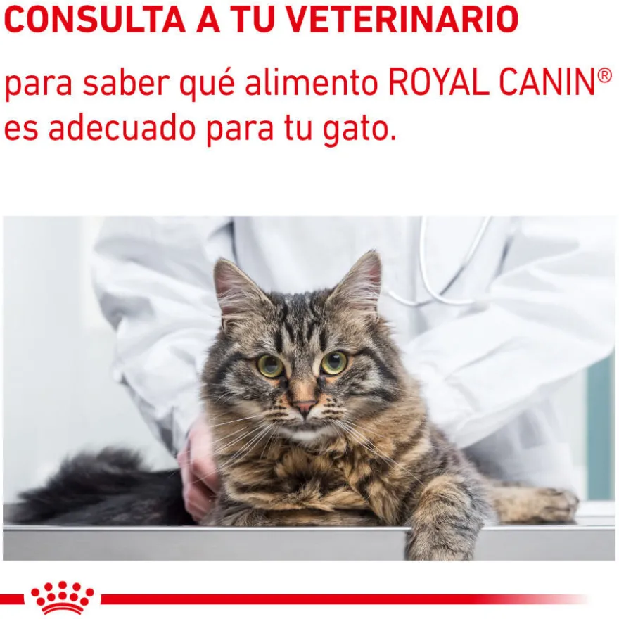 Royal Canin Mature Consult Balance Paté saqueta para gatos