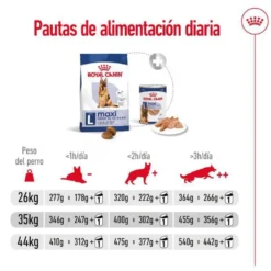 Royal Canin Maxi Adult 5+ Ração para cães seniores de raça grande