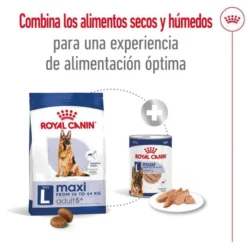 Royal Canin Maxi Adult 5+ Ração para cães seniores de raça grande