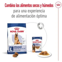 Royal Canin Maxi Adult 5+ Ração para cães seniores de raça grande