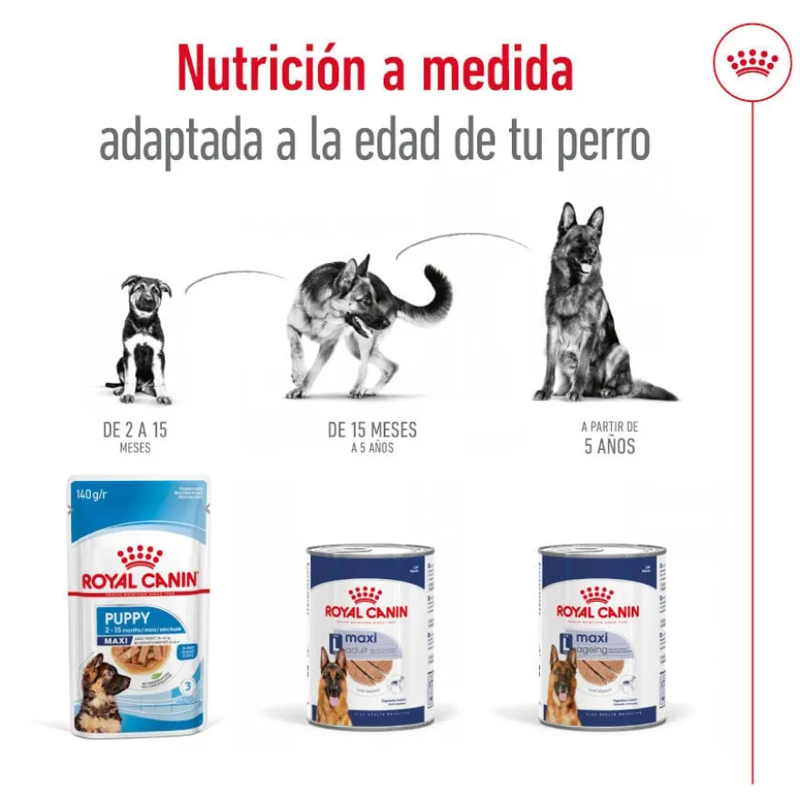 Royal Canin Maxi Ageing 5+ Patê em lata para cães sénior