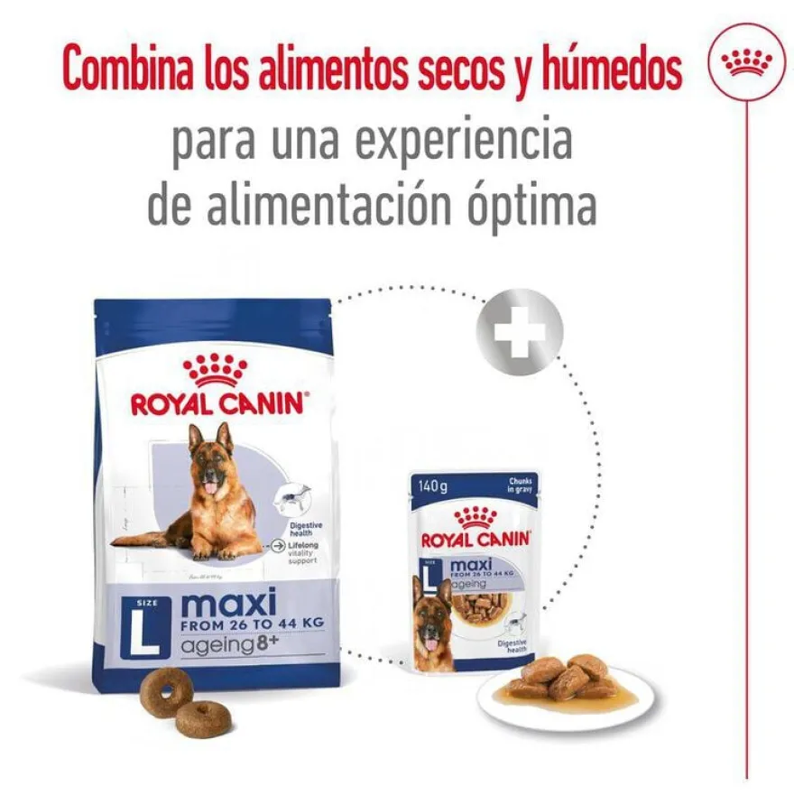 Royal Canin Maxi Ageing 8+ ração para cães sénior