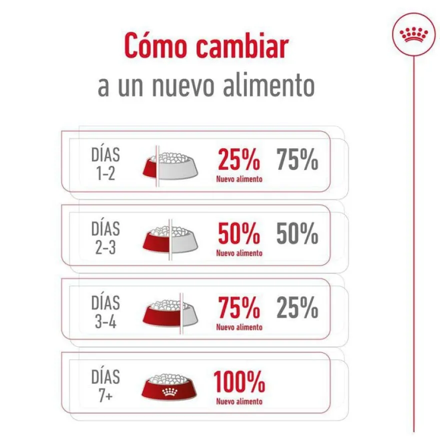 Royal Canin Maxi Ageing 8+ ração para cães sénior
