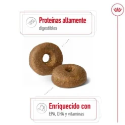 Royal Canin Maxi Ageing 8+ ração para cães sénior