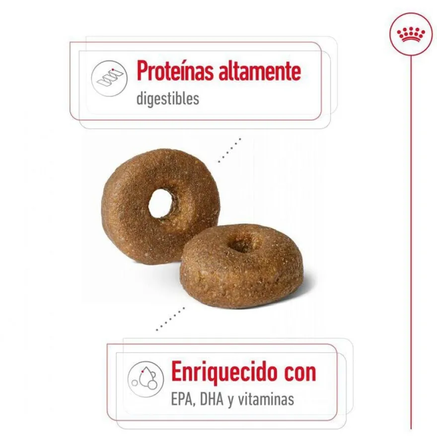Royal Canin Maxi Ageing 8+ ração para cães sénior