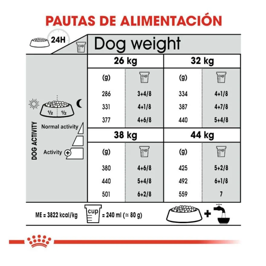 Royal Canin Maxi Dental Care ração para cães