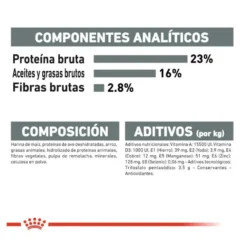 Royal Canin Maxi Dental Care ração para cães