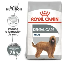 Royal Canin Maxi Dental Care ração para cães