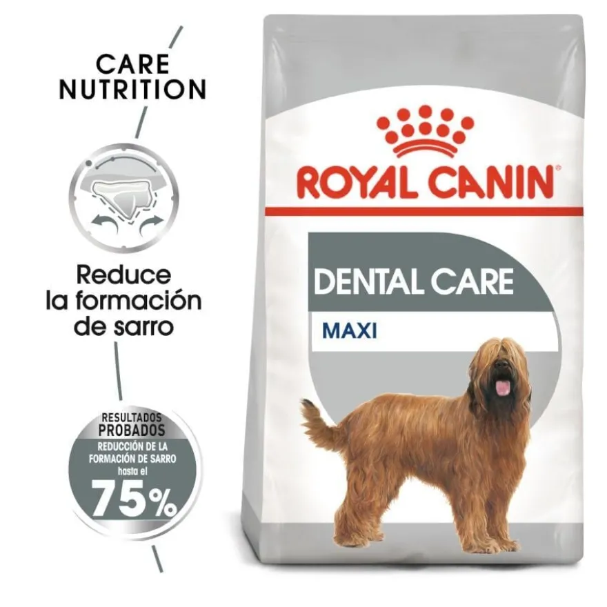 Royal Canin Maxi Dental Care ração para cães