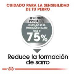 Royal Canin Maxi Dental Care ração para cães