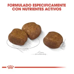 Royal Canin Maxi Dental Care ração para cães