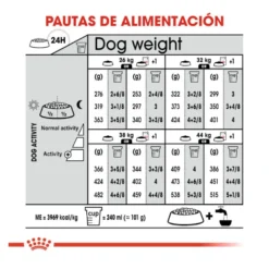 Royal Canin Maxi Dermacomfort ração para cães