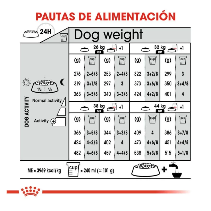 Royal Canin Maxi Dermacomfort ração para cães