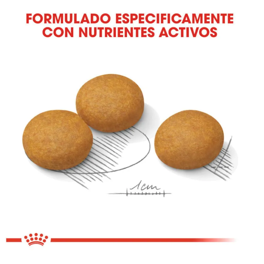 Royal Canin Maxi Dermacomfort ração para cães