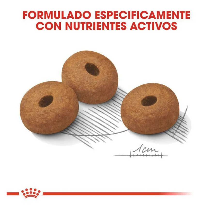 Royal Canin Maxi Light Weight Care ração para cães