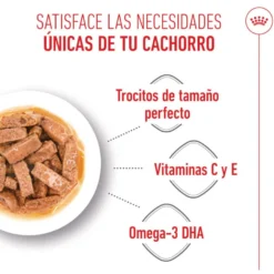 Royal Canin Maxi Puppy Alimento húmido para cães