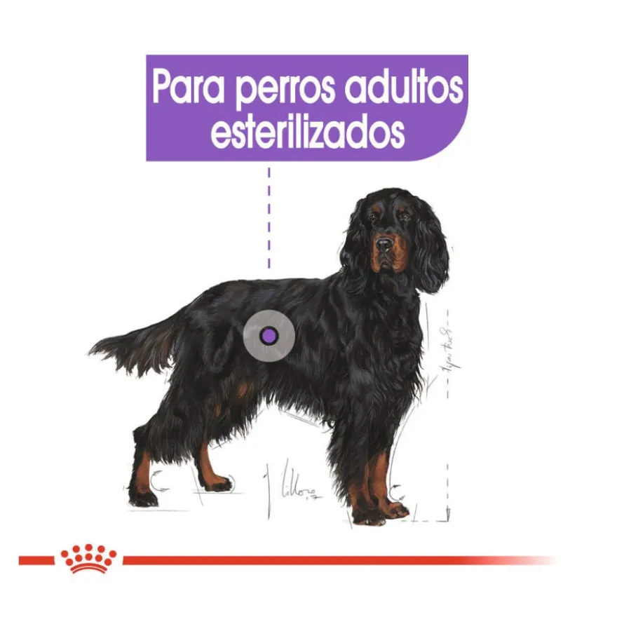 Royal Canin Maxi Sterilised ração para cães