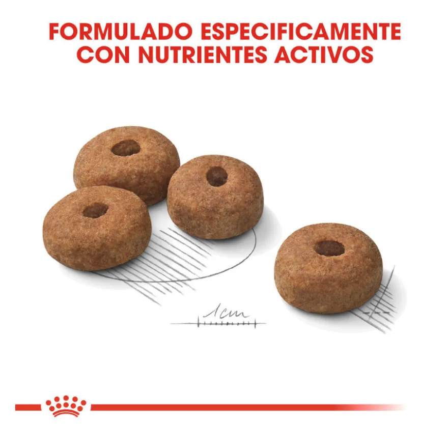 Royal Canin Maxi Sterilised ração para cães