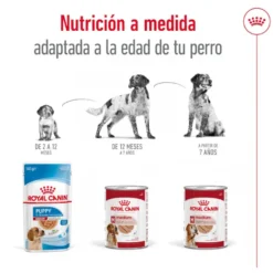 Royal Canin Medium Adult Patê em lata para cães