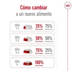 Royal Canin Medium 7+ Adult ração para cães seniores