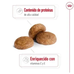 Royal Canin Medium 7+ Adult ração para cães seniores