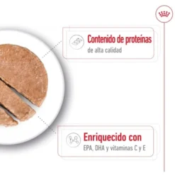 Royal Canin Medium 7+ Ageing lata para cães sénior