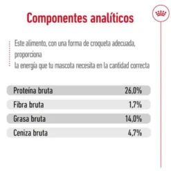Royal Canin Medium 10+ Ageing ração para cães sénior